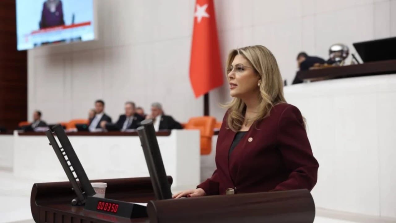 Giresun'daki HES Projeleri ve Ekosisteme Etkileri