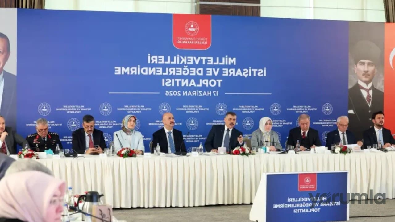 Türkiye'de Sokak Hayvanlarına Yönelik Önemli Gelişmeler