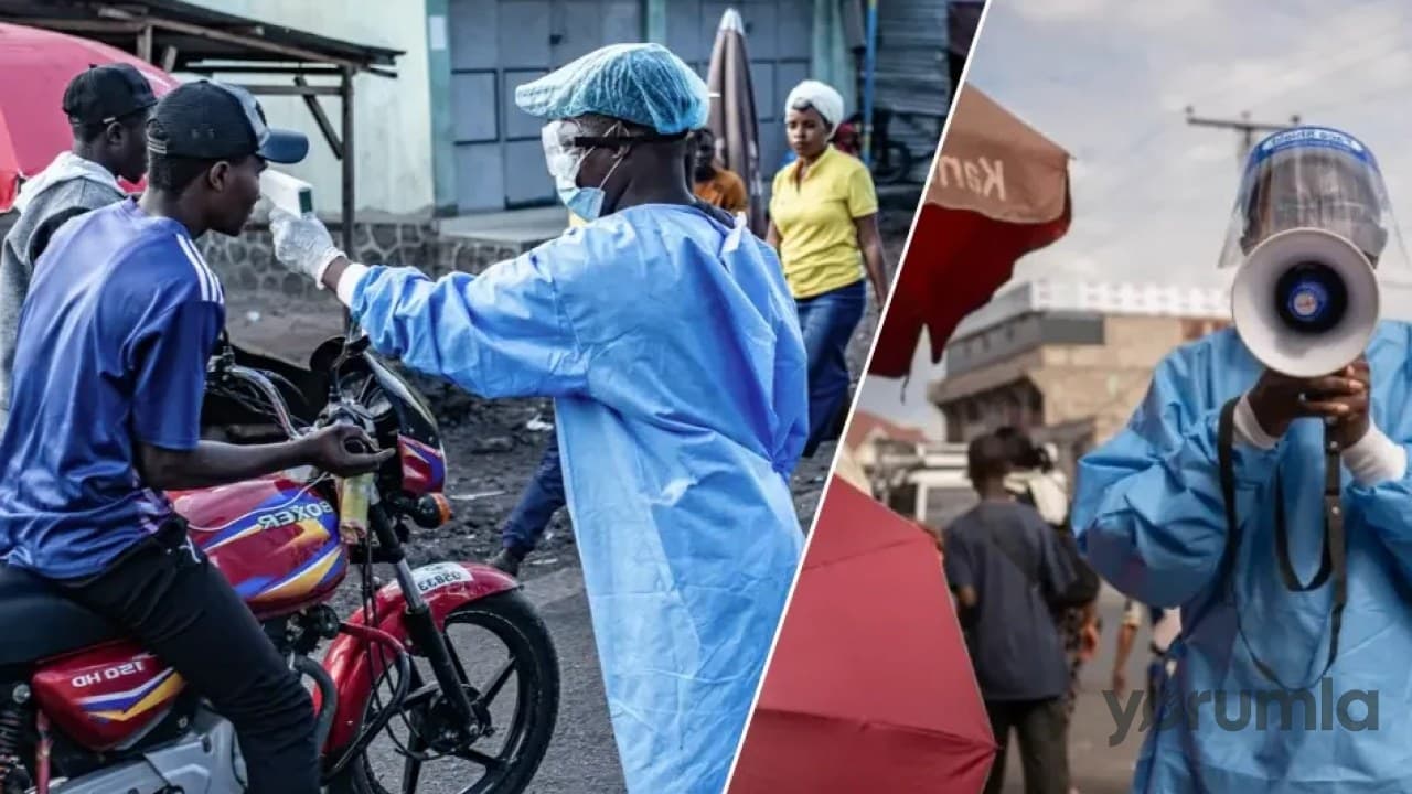 DSÖ: Bundibugyo Ebola salgınında 3 ilde 896 vaka ve 232 ölüm bildirildi