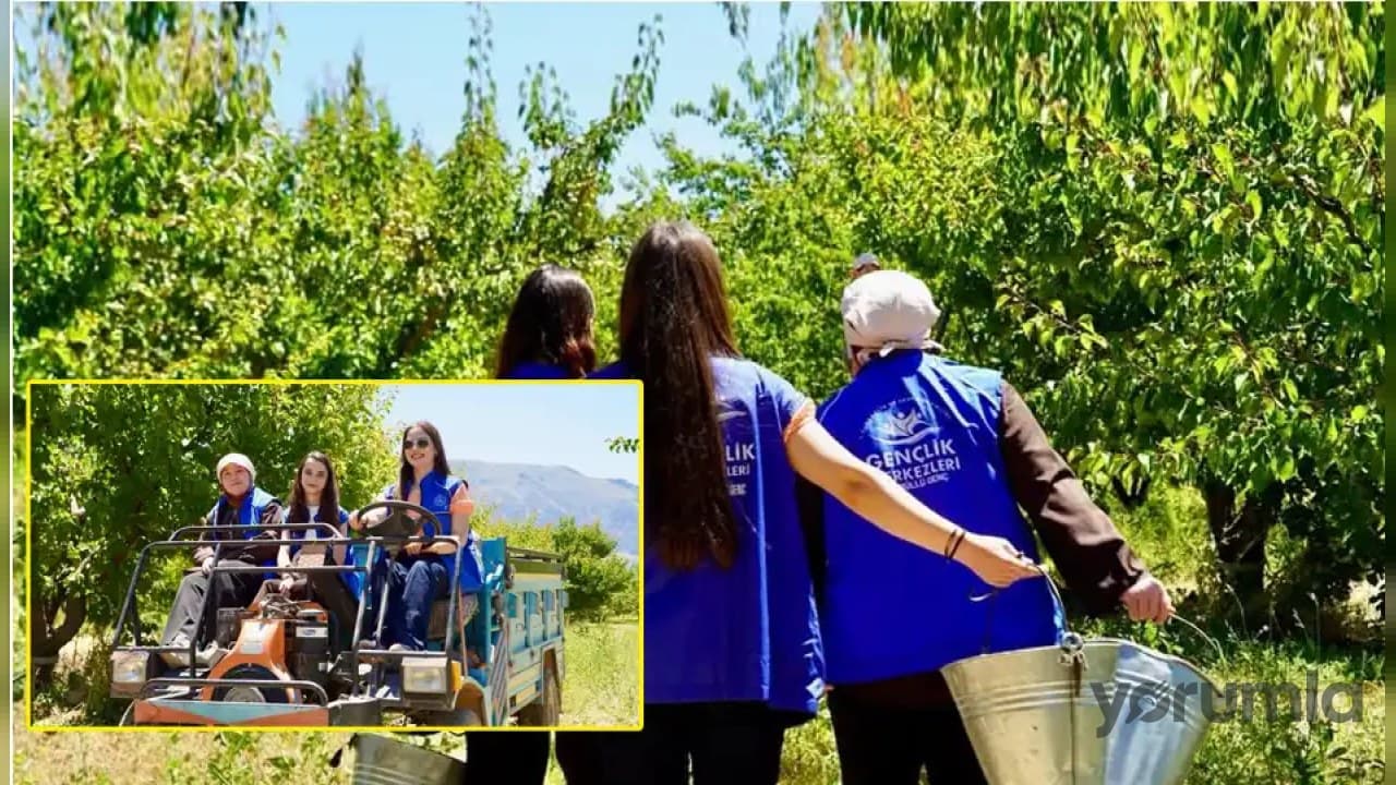 Isparta Gençlik Merkezi'nin Gönüllü Hasat Etkinliği ile Kayısı Üreticilerine Destek
