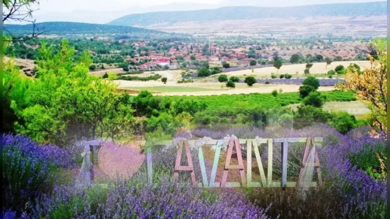 Keçiborlu Kuyucak’ta lavantalar çiçek açtı: Mor tarlalar ilk ziyaretçileri çekti