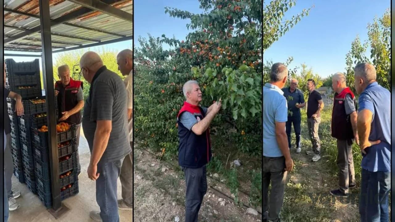 Yalvaç’ta kayısı hasadı: Mehmet Tuğrul Aşağı Kaşıkara ve Taşevi’ni ziyaret etti