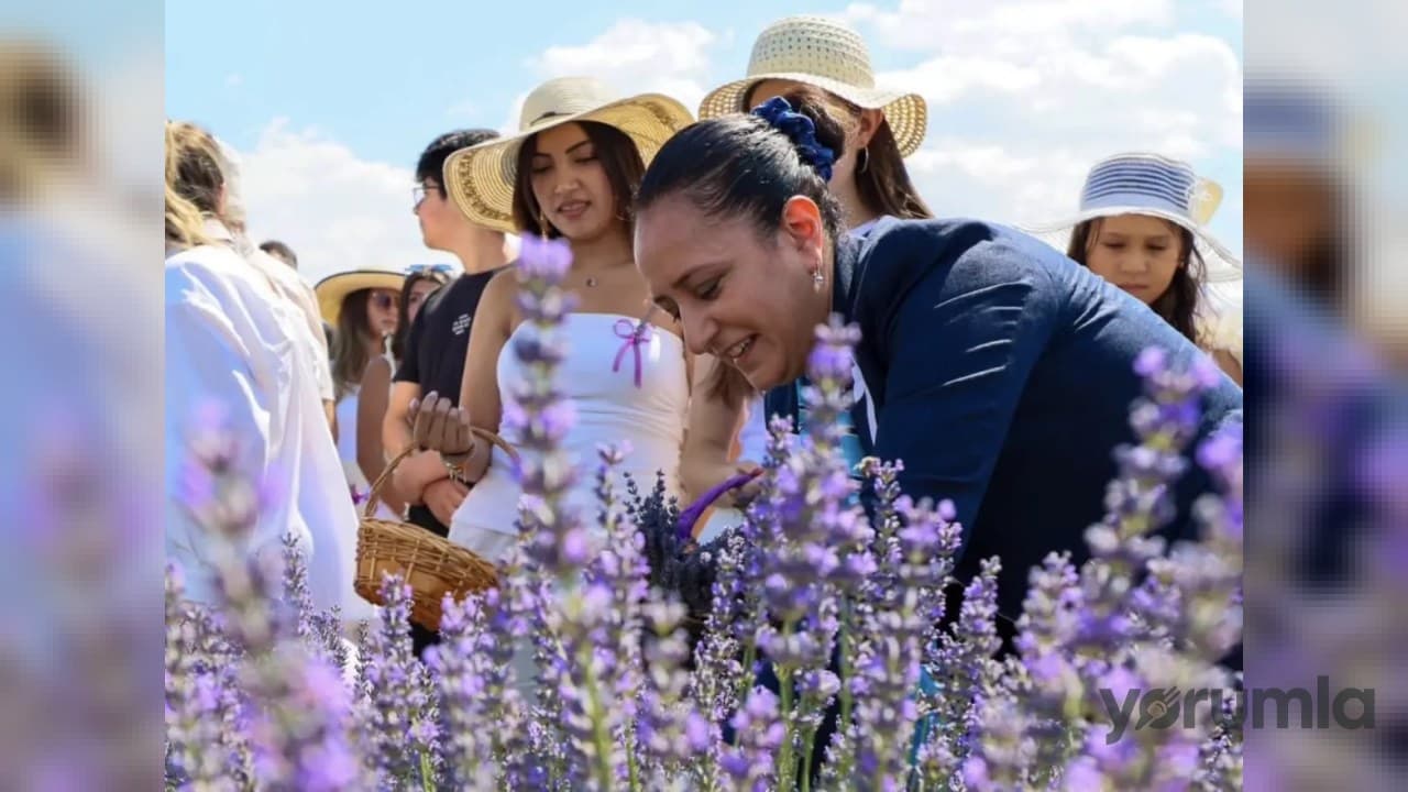 Burdur’da 2. Lavanta Hasat ve Sanat Günleri: Lavantepe’de hasat yapıldı