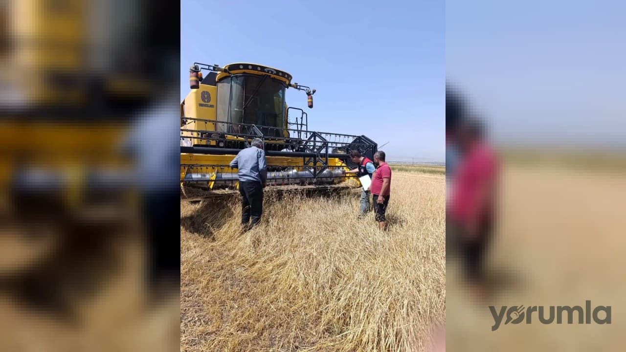 Kars’ta biçerdöver denetimleri sıklaştırıldı: dane kaybı hedefi