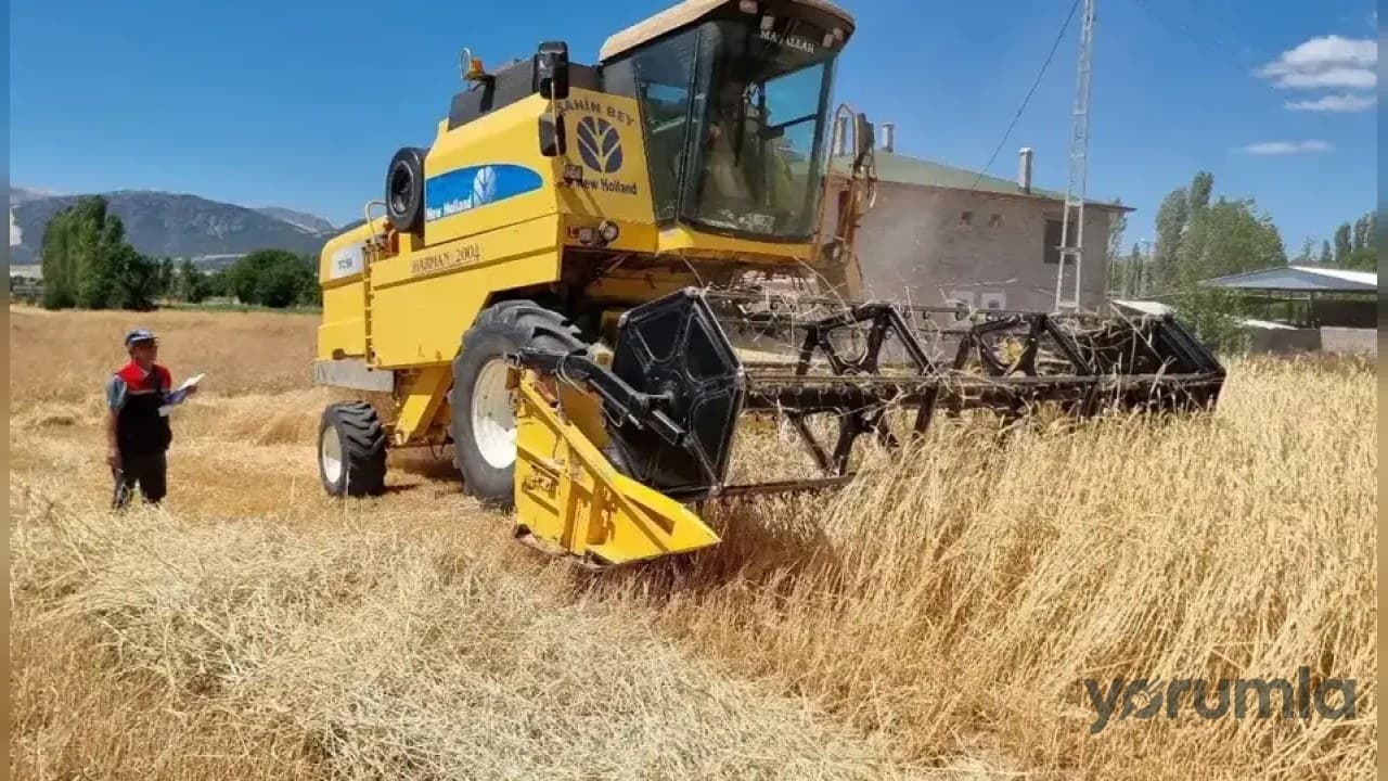 Burdur’da hasatta yüz güldüren sonuç: çiftçinin yeni gözdesi gündemde