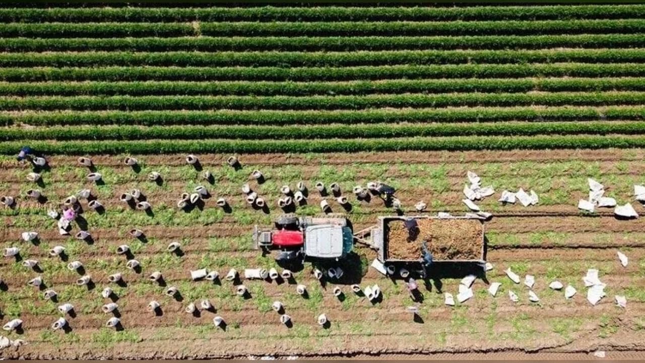 Tarım ve Orman Bakanlığı'ndan Kırsalda 11,3 Milyar Liralık Hibe Desteği