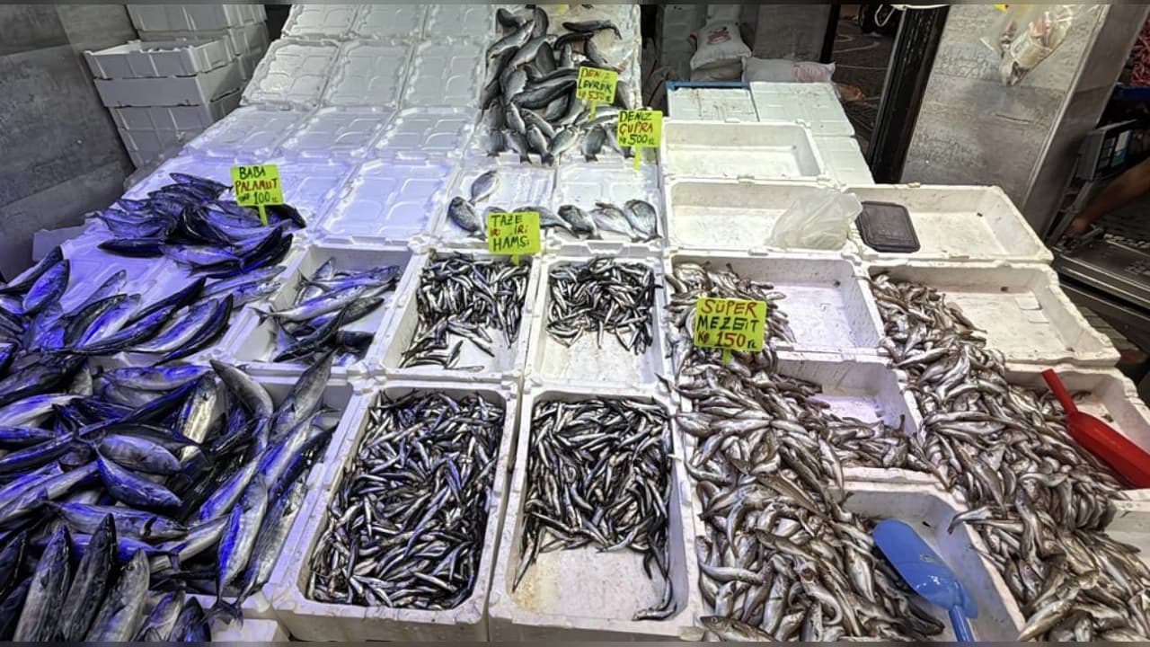 Karadeniz'de Balık Sezonu Bereketli Başladı: Palamut Fiyatları Düştü