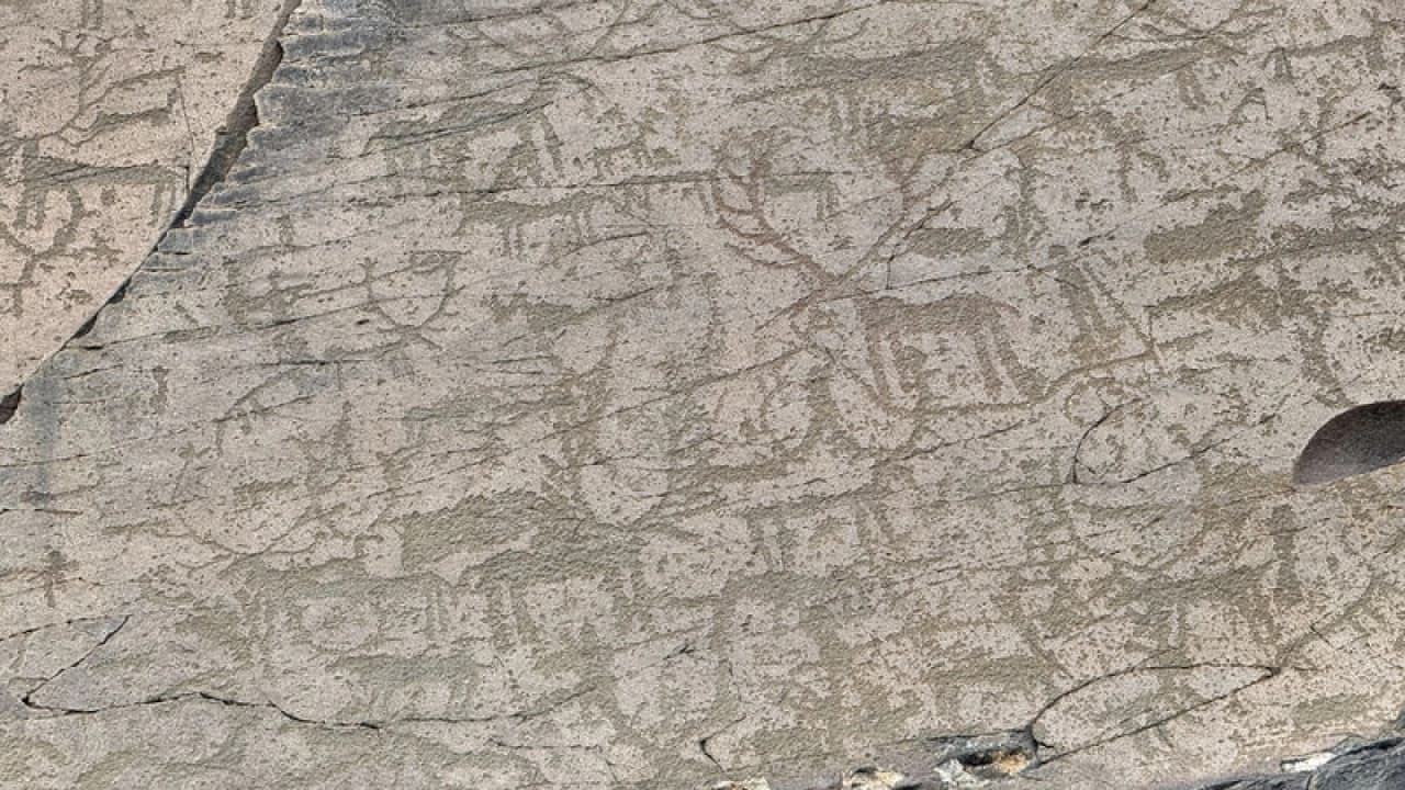 Kars Kağızman'daki Camuşlu Kaya Resimleri Binlerce Yılın İzini Taşıyor