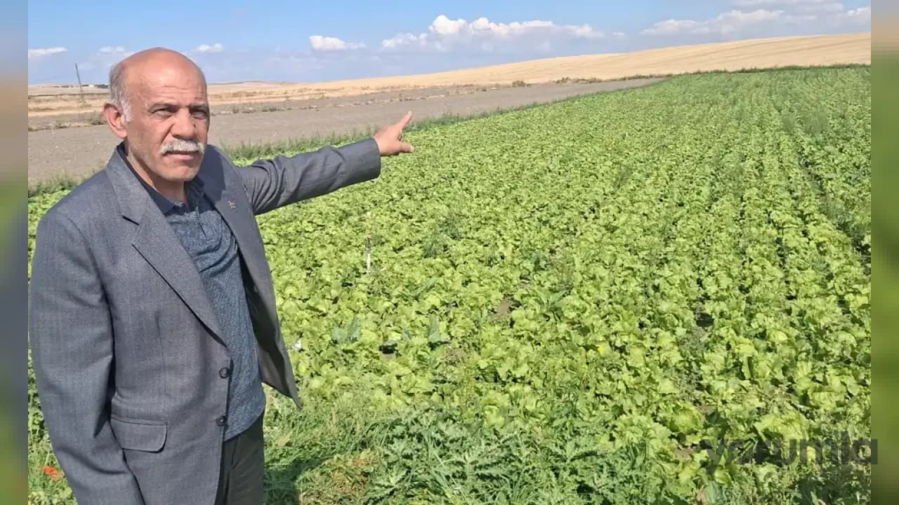 DP Beypazarı İlçe Başkanı Enver Atak Sahaya İndi: Çiftçi Artan Girdi Maliyetleri Altında Eziliyor