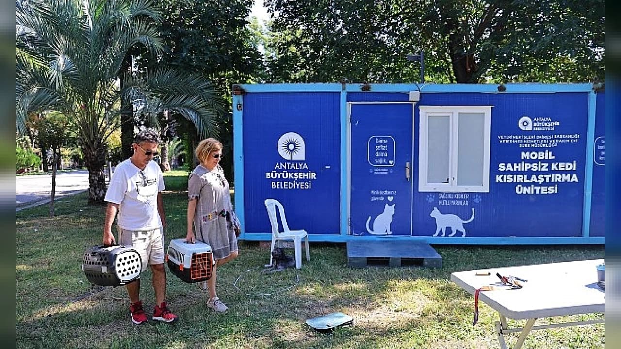 Antalya'da Sokak Kedileri İçin Mobil Kısırlaştırma Seferberliği Başladı
