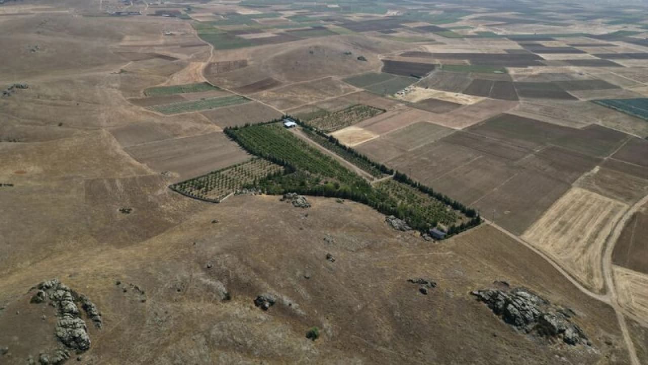 Afyonkarahisar'da Kıraç Araziyi Cennete Çevirdi: 42 Dekarda 100'ü Aşkın Meyve Yetişiyor