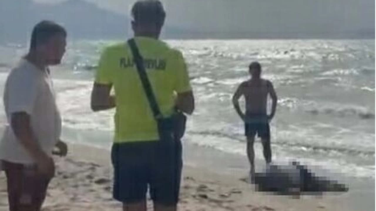 Kuşadası sahilinde cesedi bulundu: Yattan düşen iş insanı Rıza Muslu acı sonla bitti