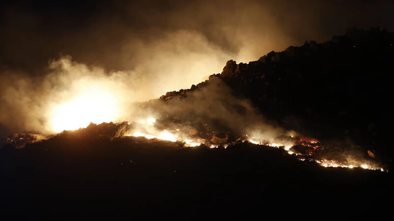 Bodrum'da makilik alan yangını