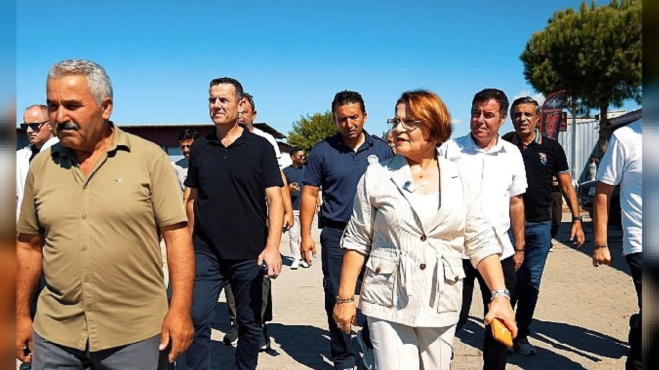 Gündemin Nabzı: THY'nin Dev Uçak Anlaşmasından Teknolojik Yeniliklere ve Yerel Projelere Günün Özeti