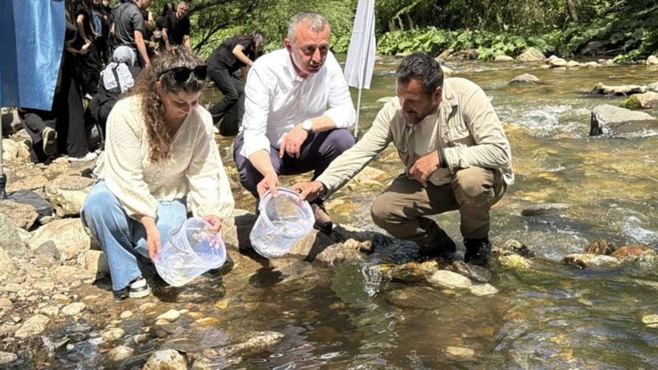 Kocaeli'de Doğal Yaşama Destek: Kirazdere'ye 8 Bin Kırmızı Benekli Alabalık Bırakıldı