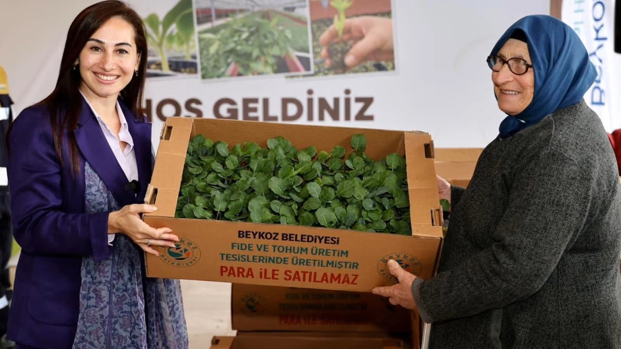 Beykoz'da Kışlık Fide Desteği Sürüyor: 625 Bin Fide Çiftçiye Dağıtıldı
