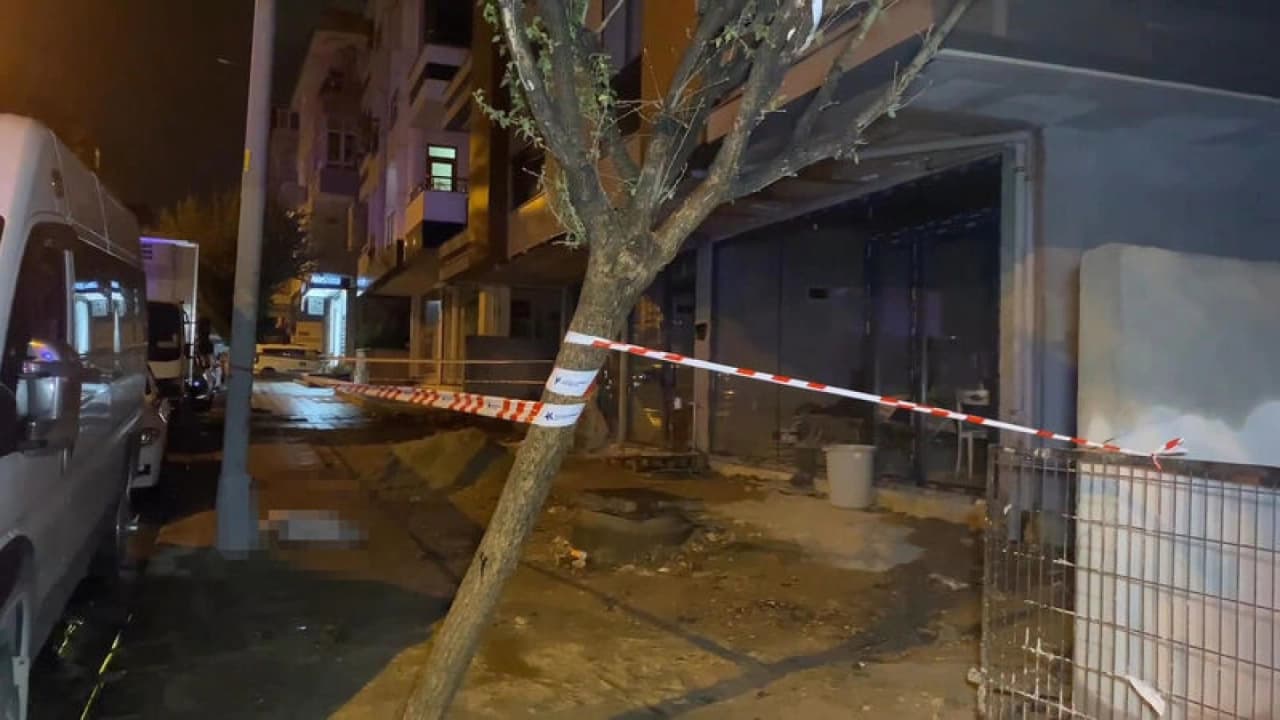 Küçükçekmece'de Elektrik Faciası: Akıma Kapılan Köpek Öldü, Sahibi Yaralandı