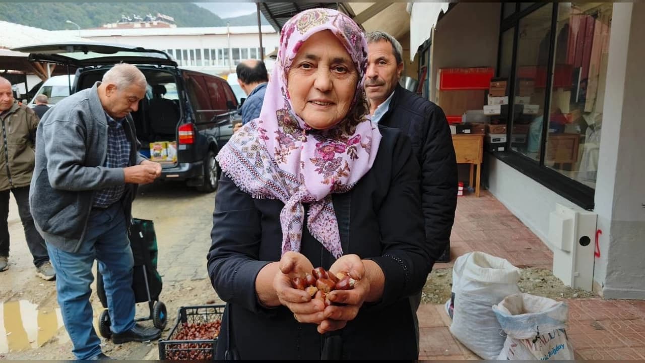 Erfelek Kestanesinde Yeni Sezon Başladı: Fiyatlar ve Rekolte Açıklandı