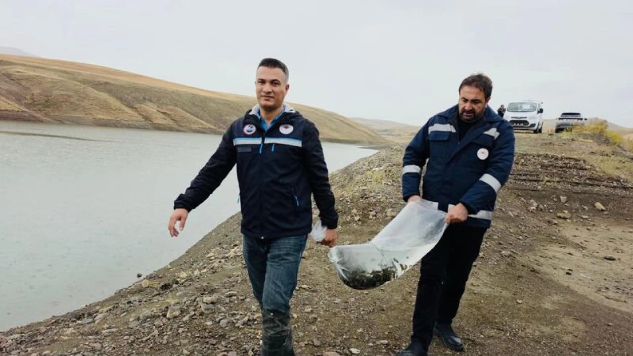 Van'da Su Kaynaklarının Balıklandırılması Projesi Kapsamında 700 Bin Sazan Yavrusu Göletlere Bırakıldı
