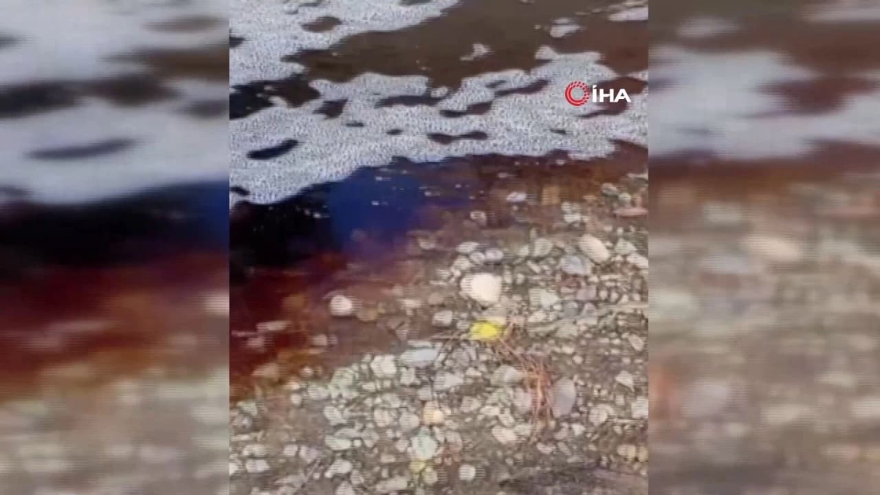 Yalova Çiftlikköy'de Marmara Denizi'ne Kırmızı Renkli Su Akıtıldı