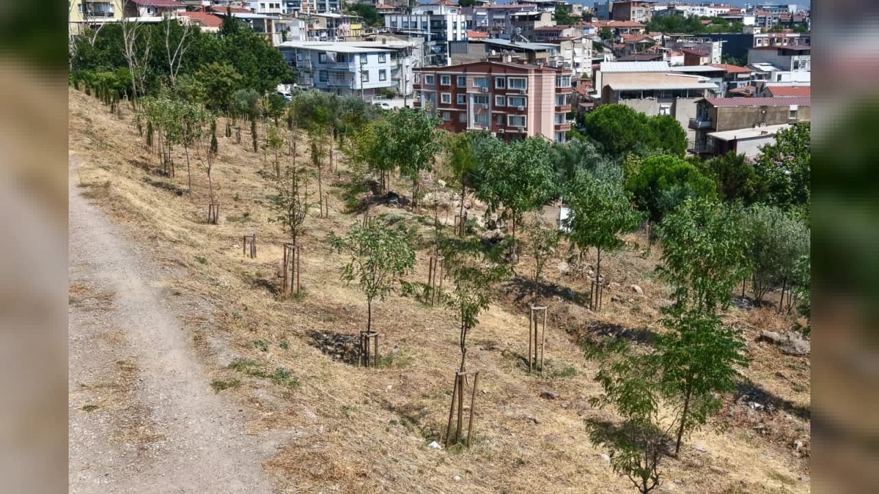 İzmir Büyükşehir Belediyesi'nden 213 Futbol Sahası Büyüklüğünde Yeşil Atılım