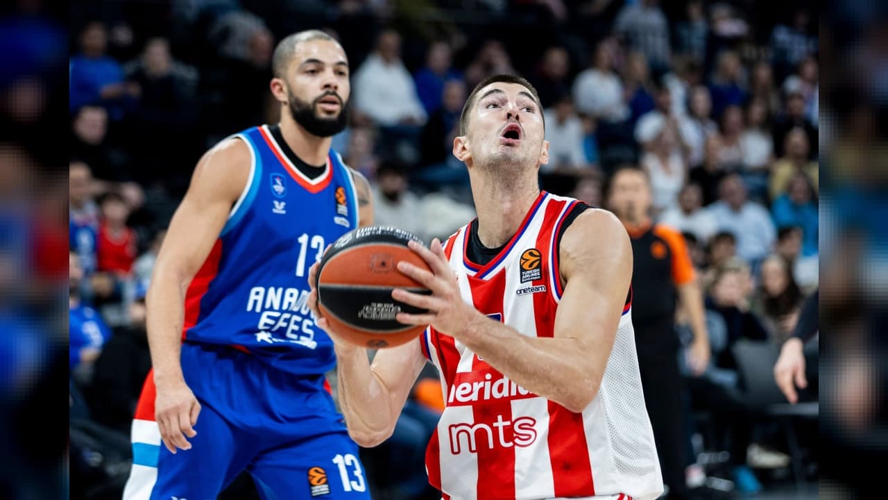 Bahçeşehir Koleji Sırp basketbolcu Luka Mitrovic'i transfer etti