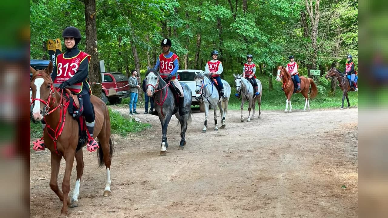 Gebze'de Uluslararası Atlı Dayanıklılık Yarışları Düzenlenecek