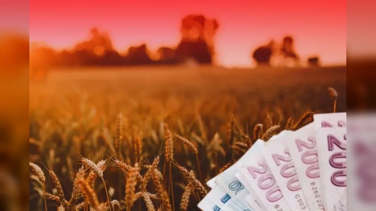 TMO üreticilere 4 milyar 257 milyon lira ürün bedeli ödedi