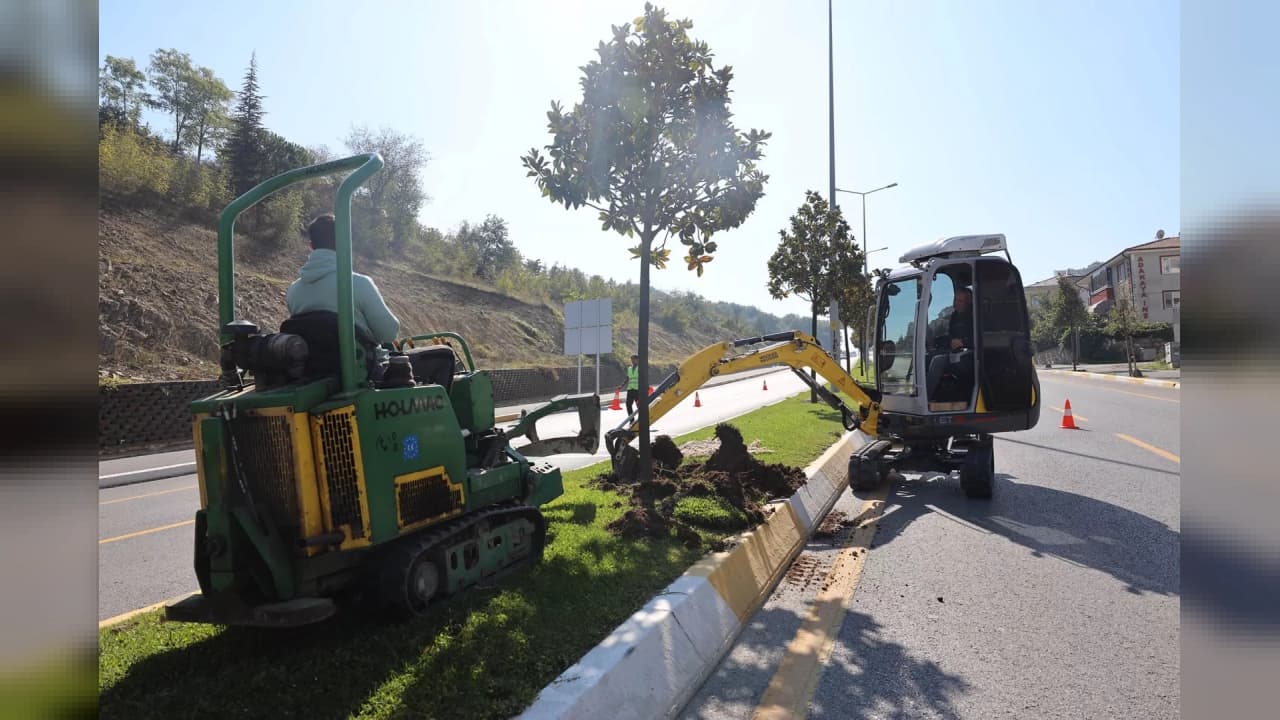 Adapazarı-Serdivan Tramvay Hattı Projesi'nde İlk Adım Atıldı: Manolya Ağaçları Taşınıyor