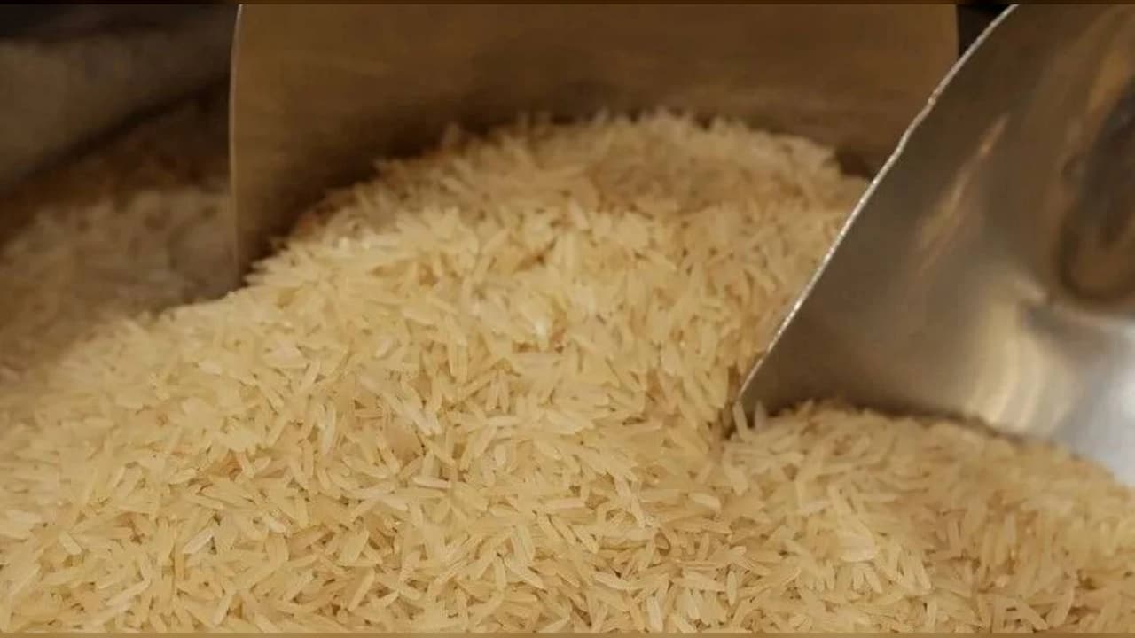 Pirinç ve çeltik ithalatında gözetim uygulaması yürürlüğe girdi