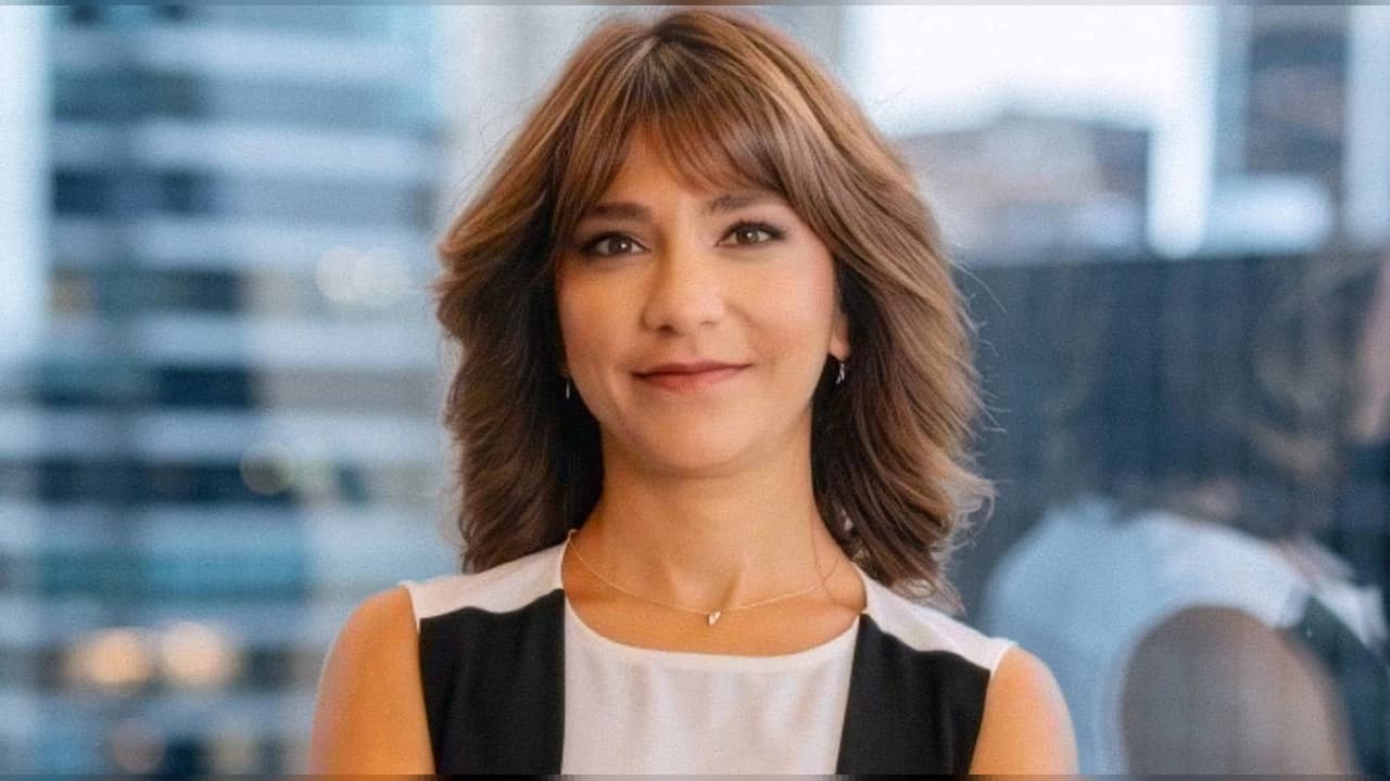 Zeynep Sarsan Assan Alüminyum'daki CFO görevini tamamladı