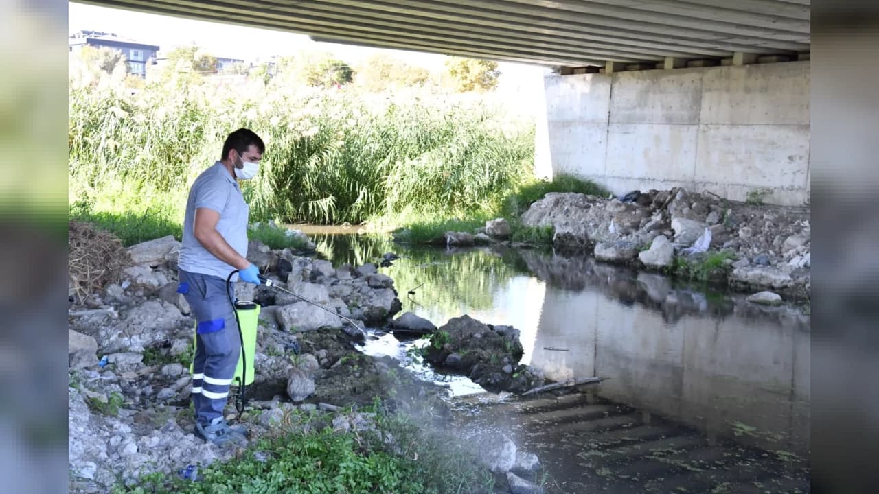 Çanakkale'de karasinek ve sivrisinek mücadelesi