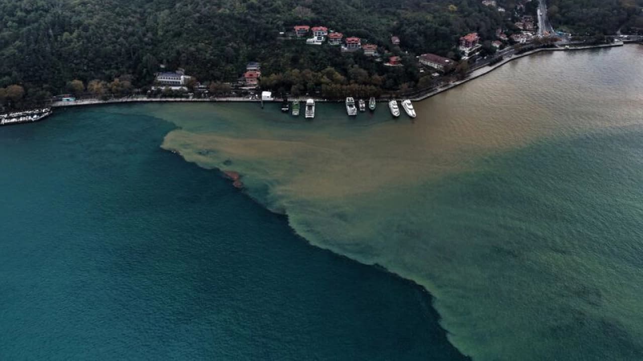 İstanbul, Bursa ve Ordu'da Sağanak Sonrası Kıyılar Çamura Bulandı
