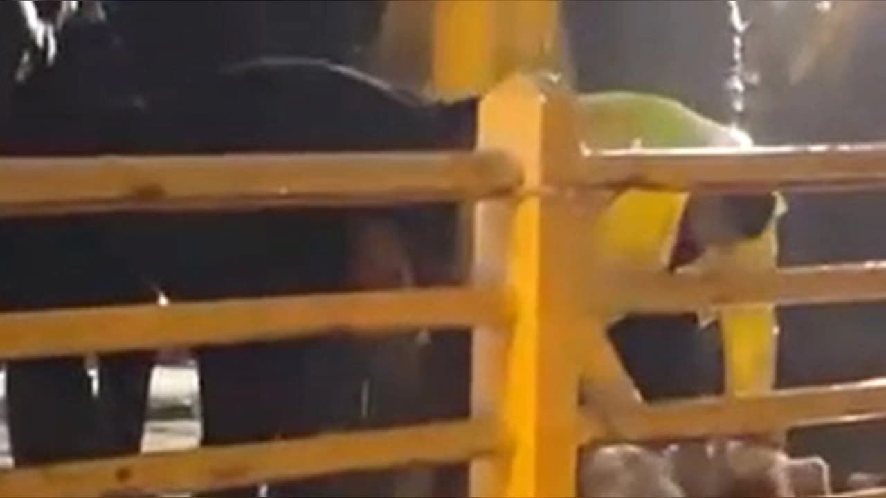 Yalova Armutlu'da sağanak yağışın durması için kurban kesildi