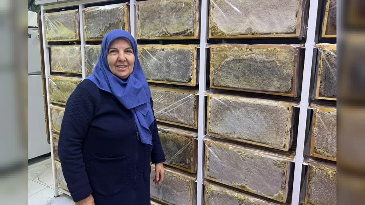 Ağrı'da soğuk havalarla birlikte arıcılıkta kış dönemi başladı