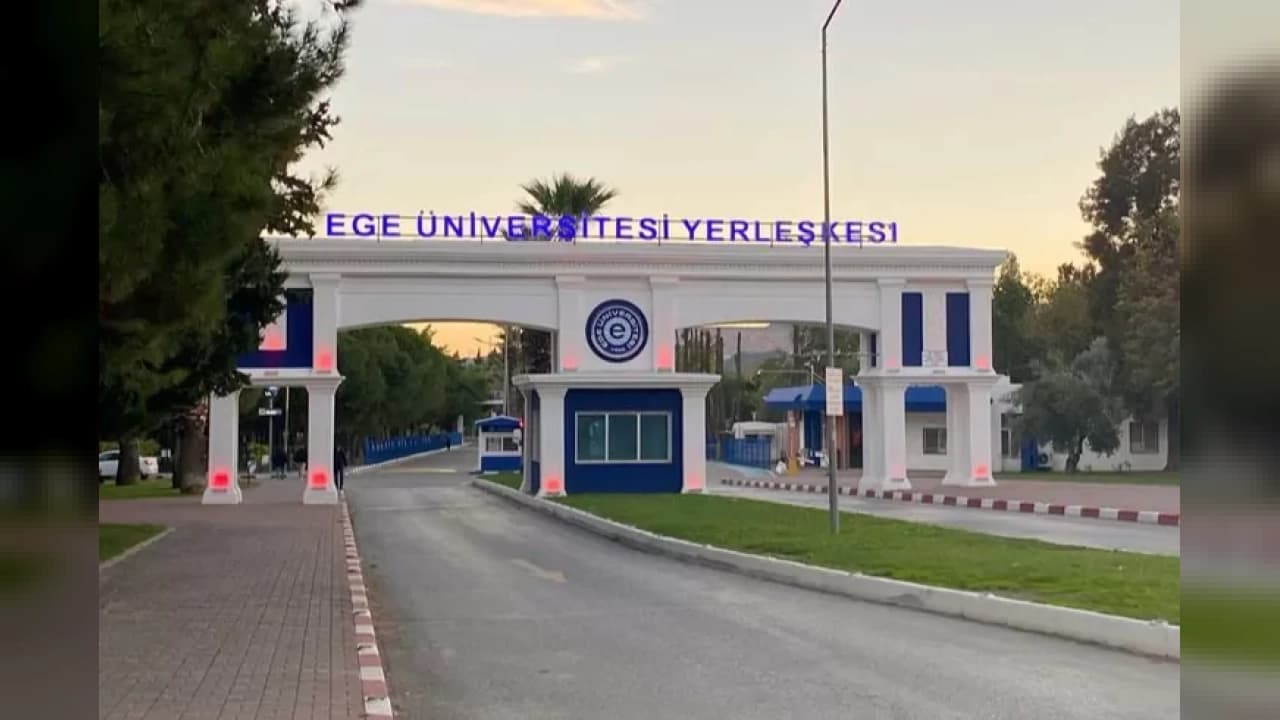 Ege Üniversitesi Yerleşkesindeki Köpekler Toplandı