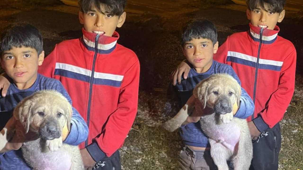 Tarsus'ta Su Kuyusuna Düşen Yavru Köpek İtfaiye Tarafından Kurtarıldı