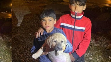 Tarsus'ta Su Kuyusuna Düşen Yavru Köpek İtfaiye Tarafından Kurtarıldı