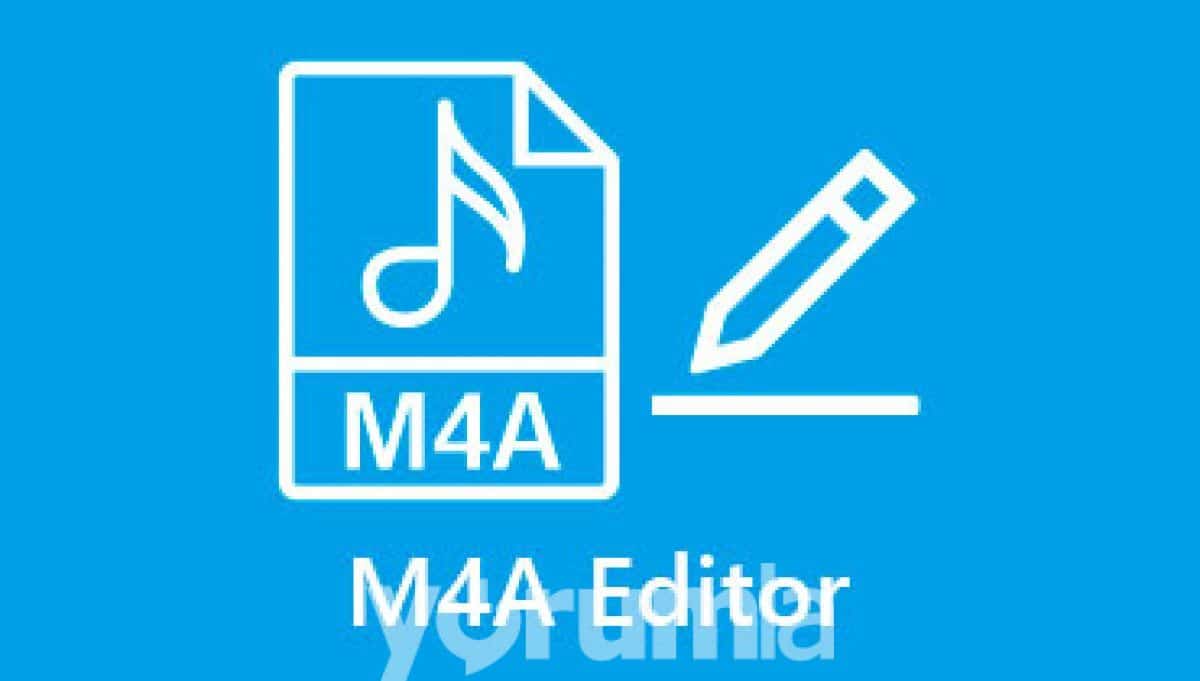 M editor